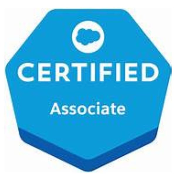 Salesforce Certified Associate Latest Exam Dumps