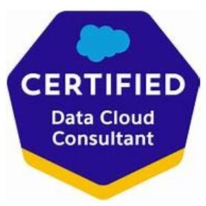 Salesforce Data Cloud Consultant Latest Exam Dumps